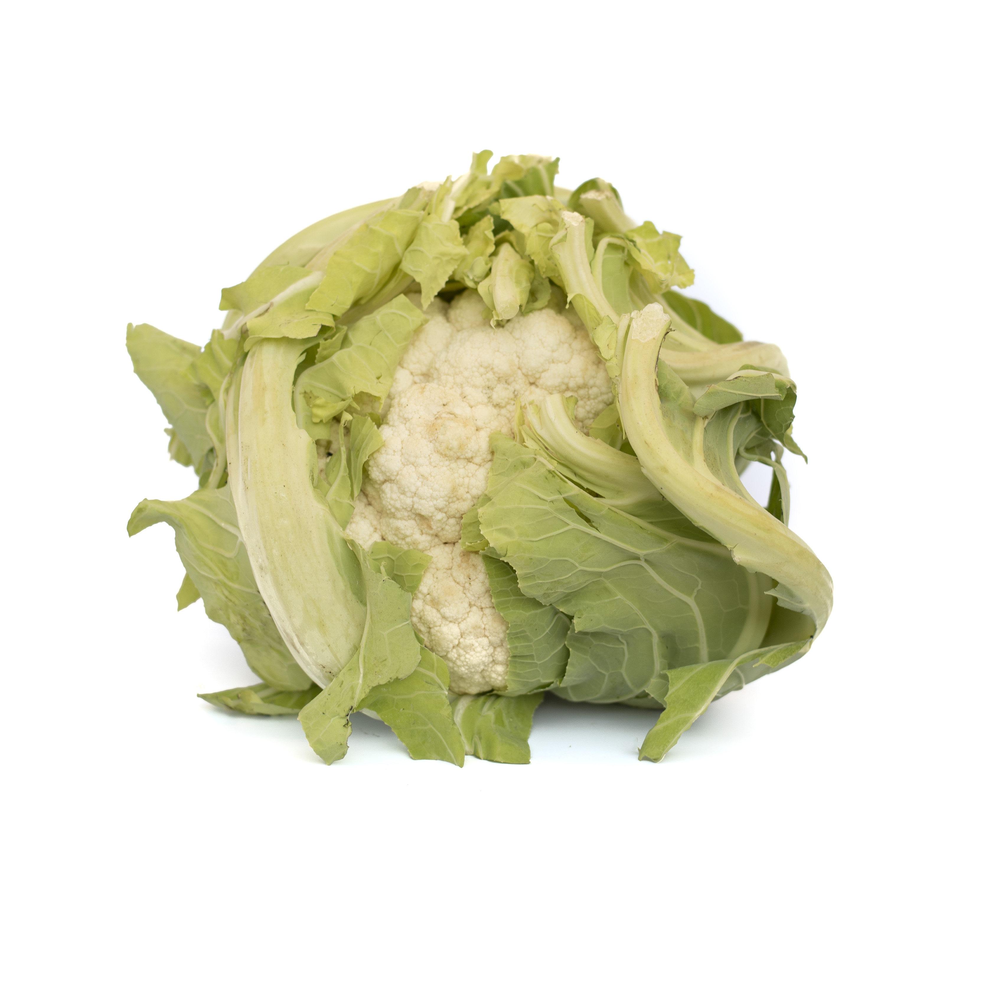 Cavolfiore