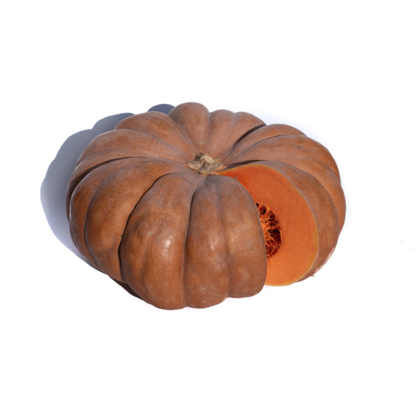 Zucca Gialla